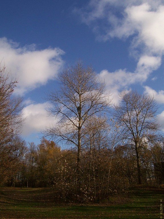 Photo de la Plaine #5