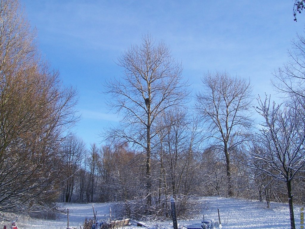 Photo de la Plaine #7