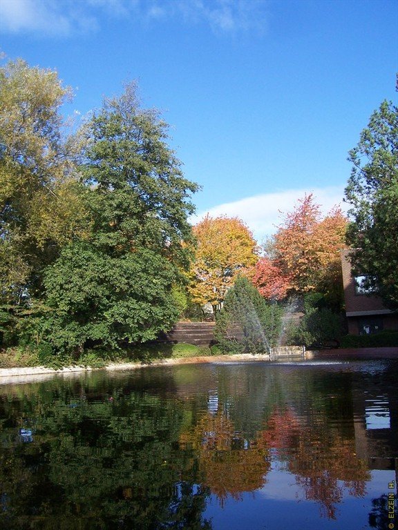 Photo de la Plaine #10