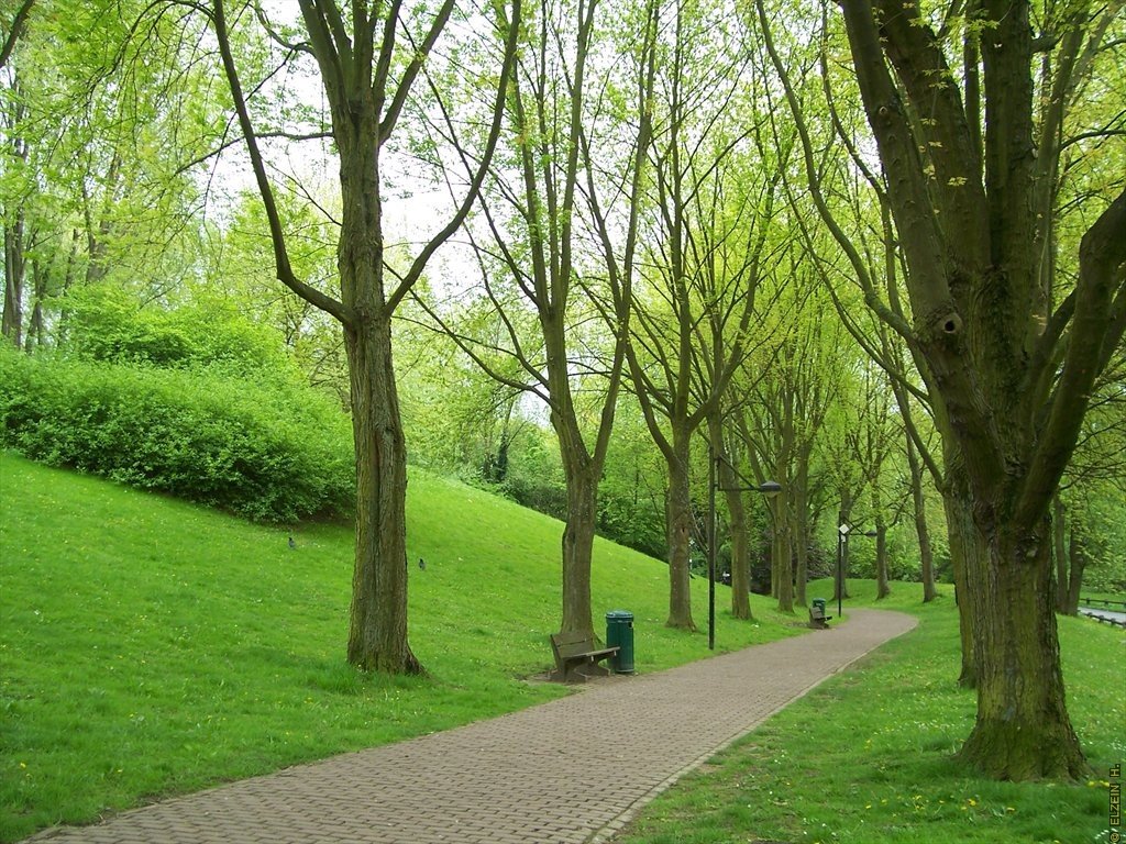 Photo de la Plaine #11