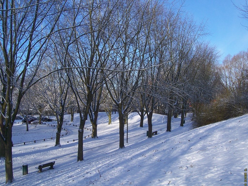 Photo de la Plaine #12