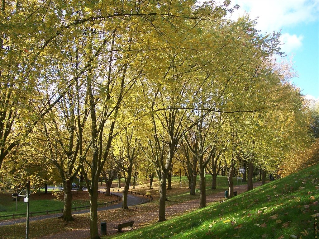 Photo de la Plaine #14