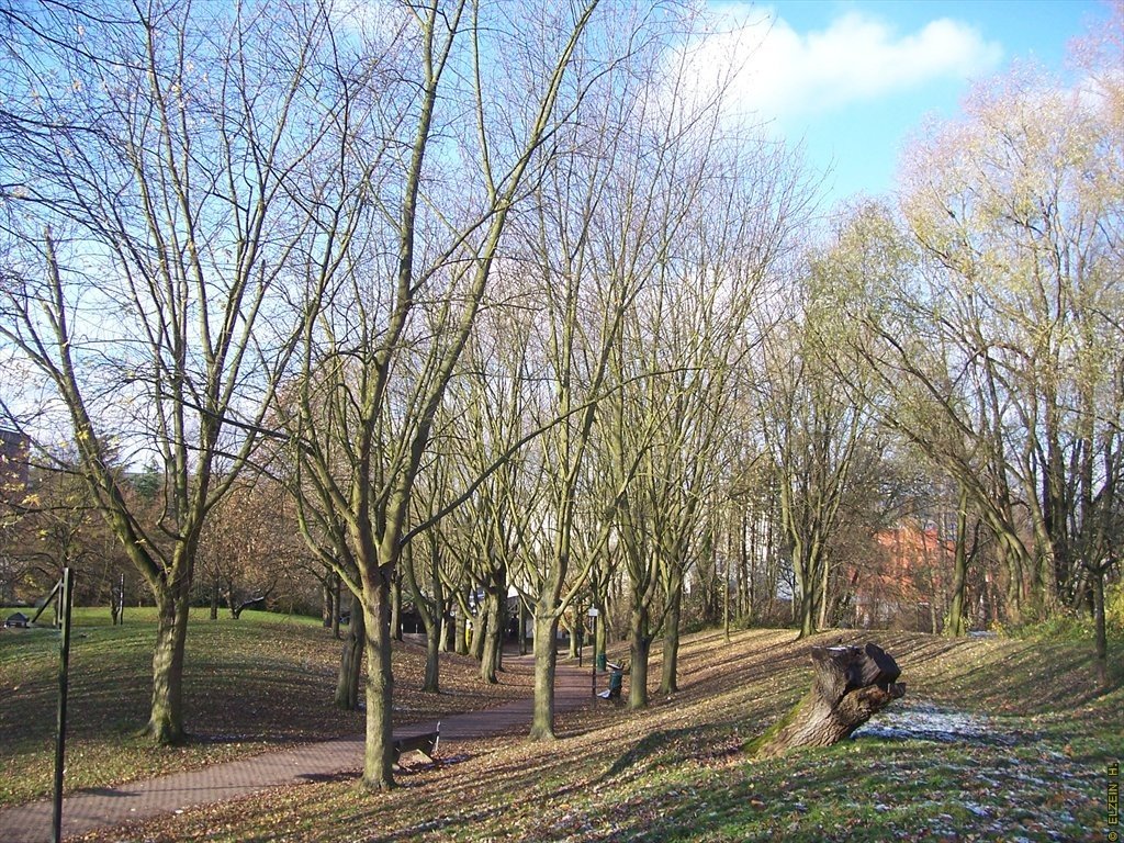 Photo de la Plaine #16