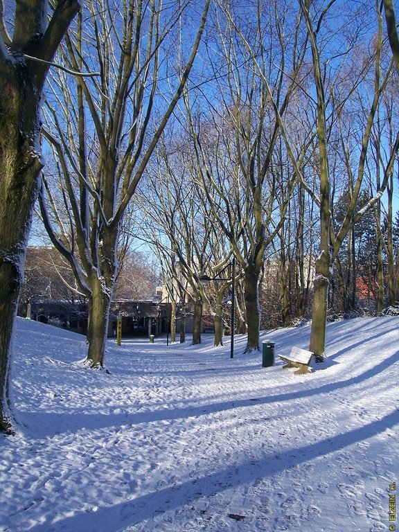 Photo de la Plaine #17