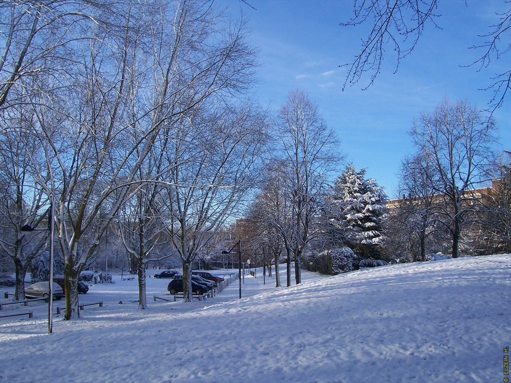 Photo de la Plaine #18