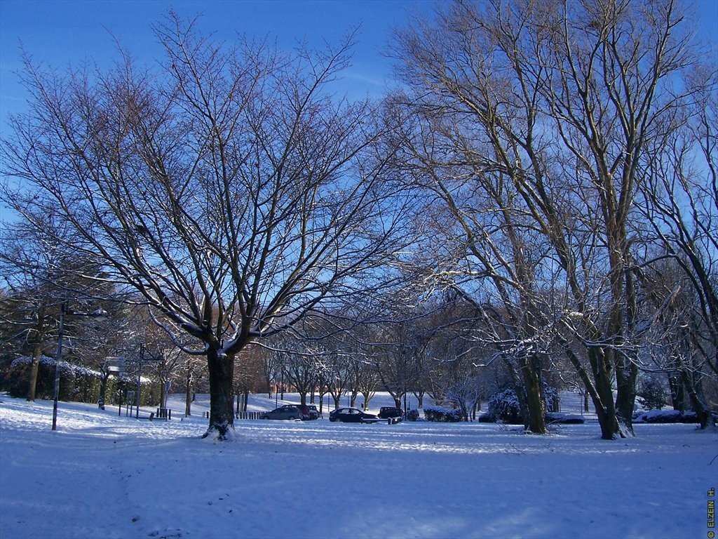 Photo de la Plaine #19