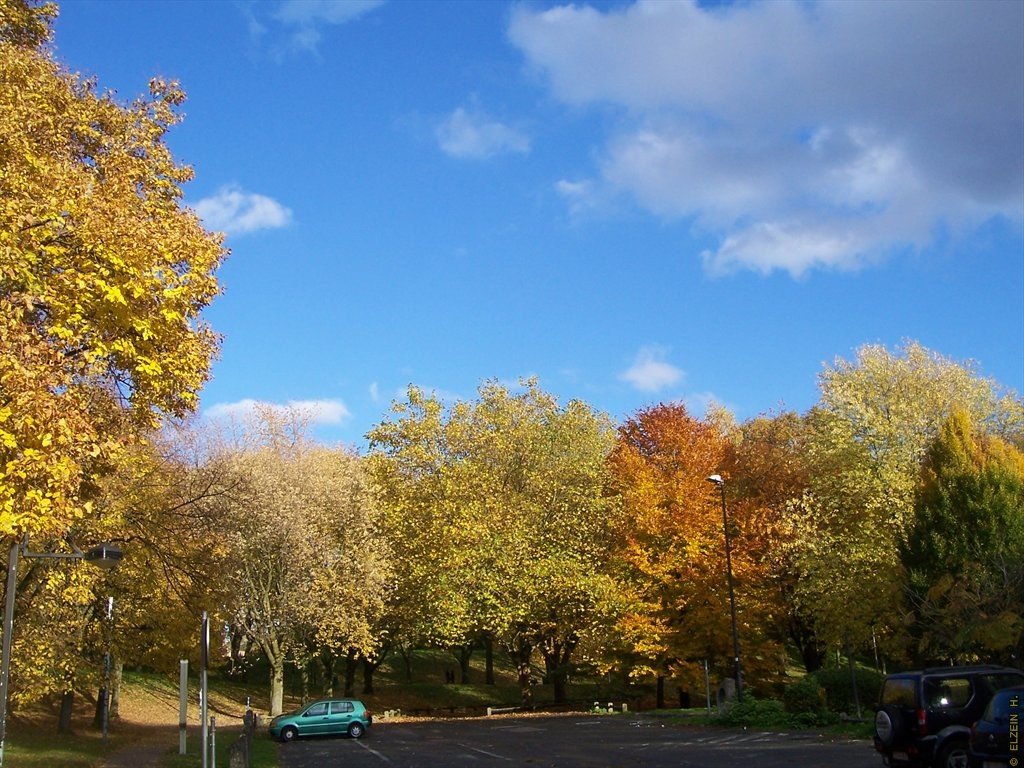 Photo de la Plaine #20