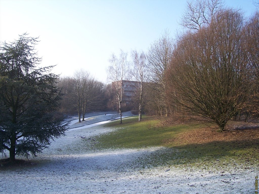 Photo de la Plaine #25