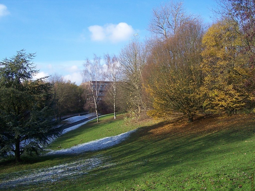 Photo de la Plaine #26