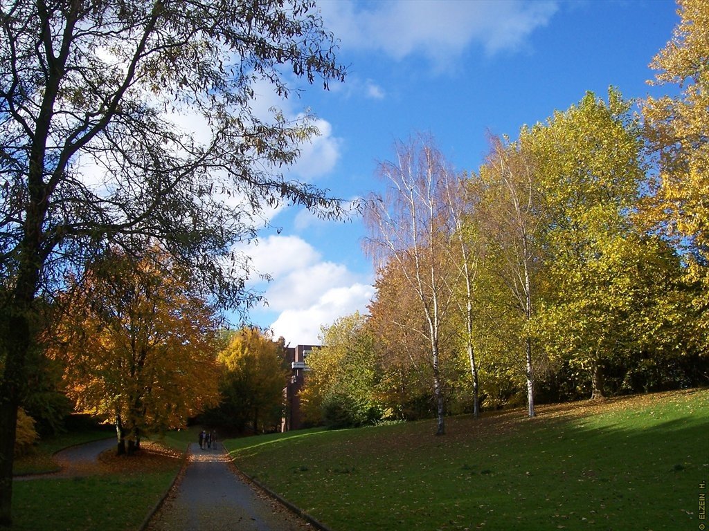 Photo de la Plaine #30