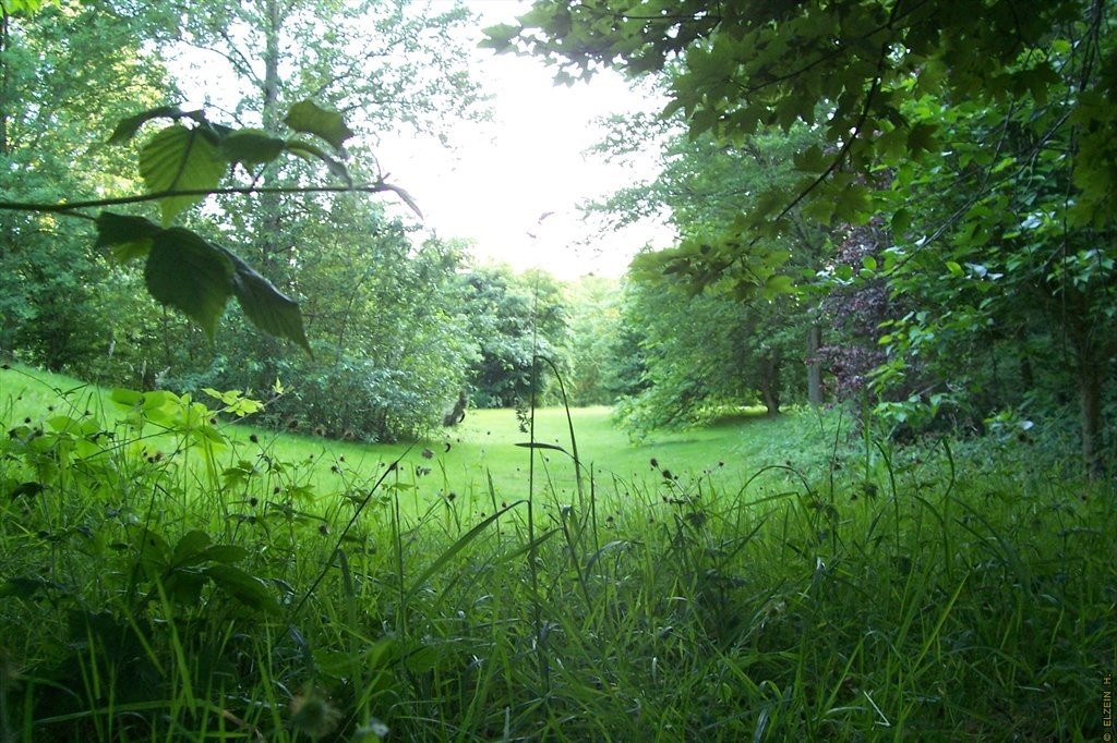 Photo de la Plaine #31