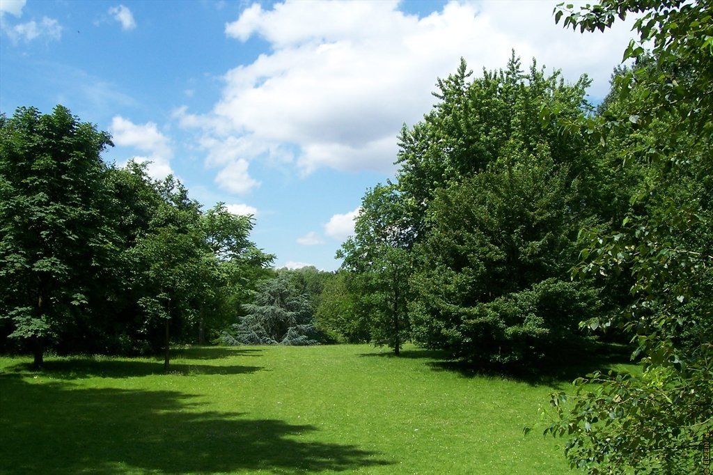 Photo de la Plaine #32