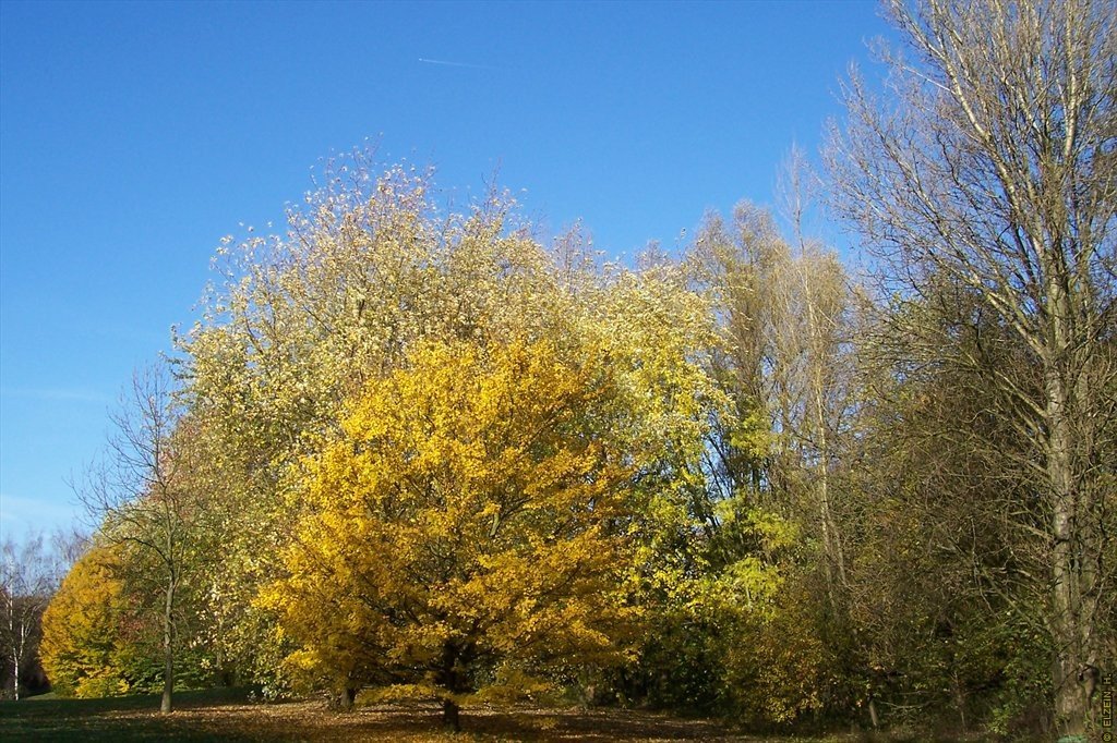 Photo de la Plaine #34