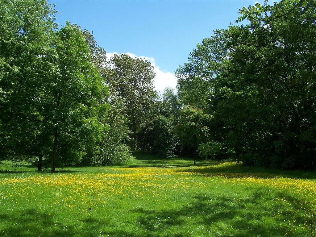 Photo de la Plaine #35