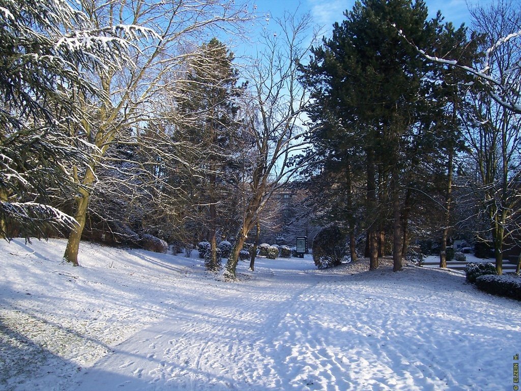 Photo de la Plaine #39