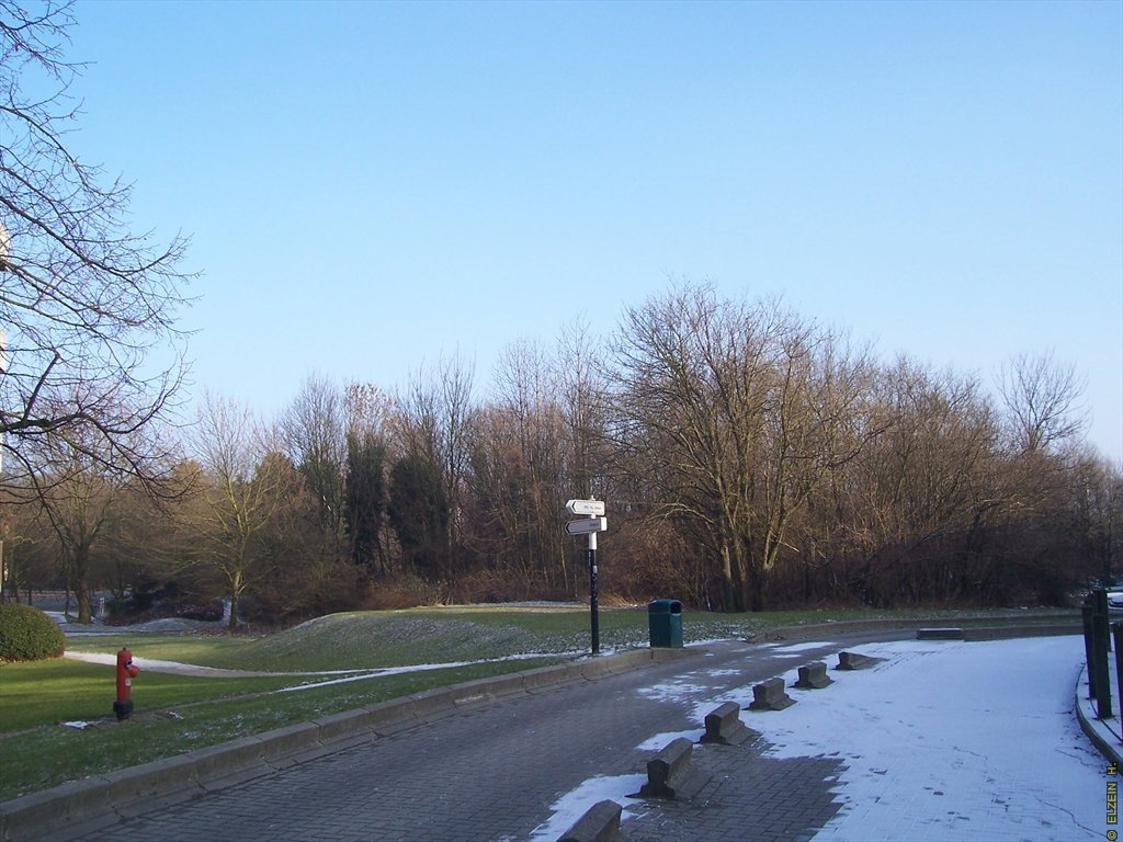 Photo de la Plaine #43