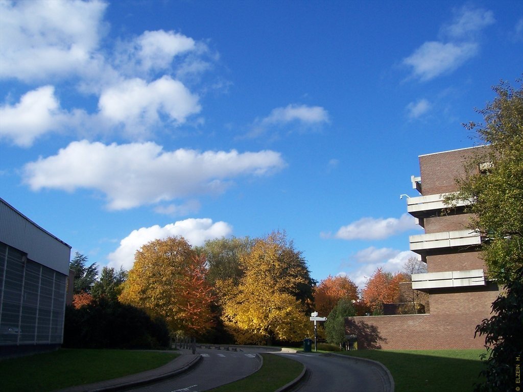 Photo de la Plaine #44