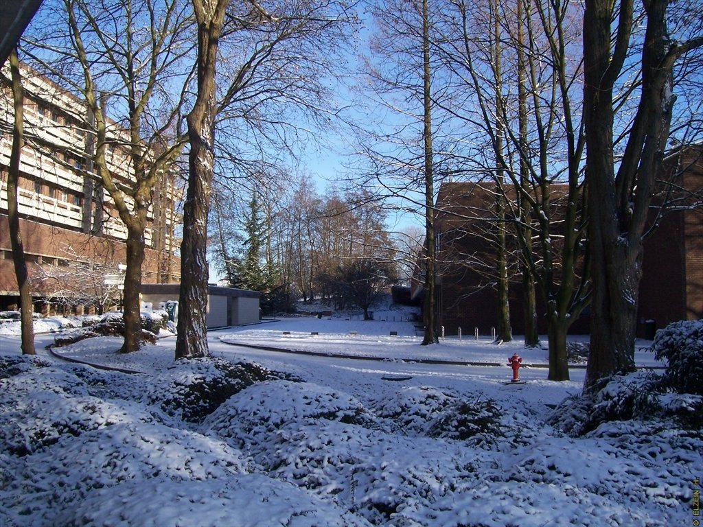 Photo de la Plaine #47