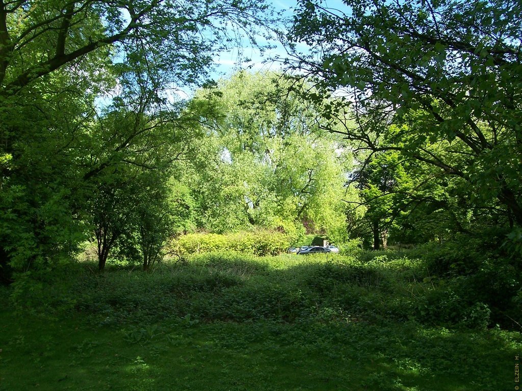 Photo de la Plaine #55