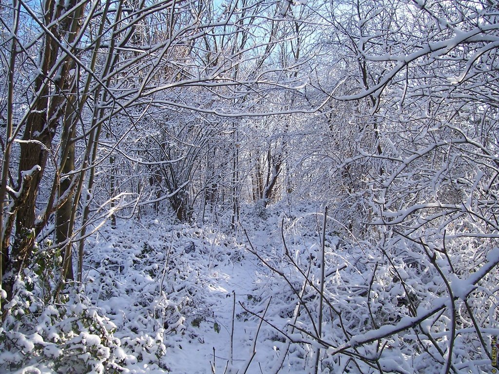 Photo de la Plaine #57