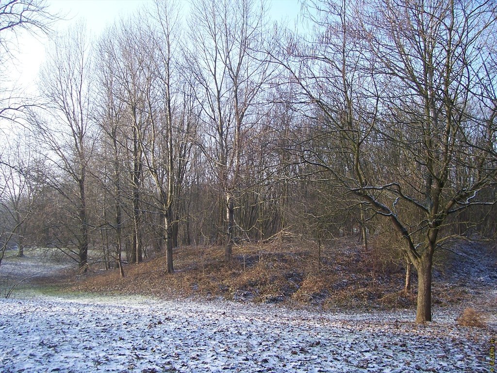 Photo de la Plaine #66