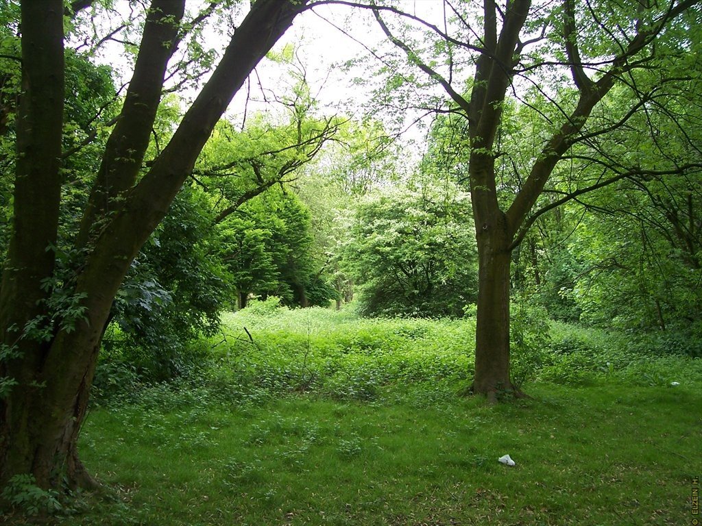 Photo de la Plaine #67