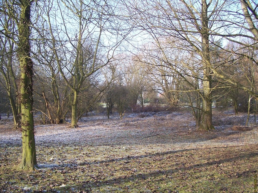 Photo de la Plaine #70