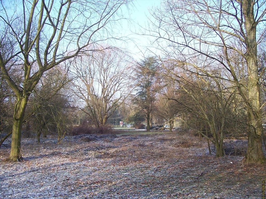 Photo de la Plaine #71