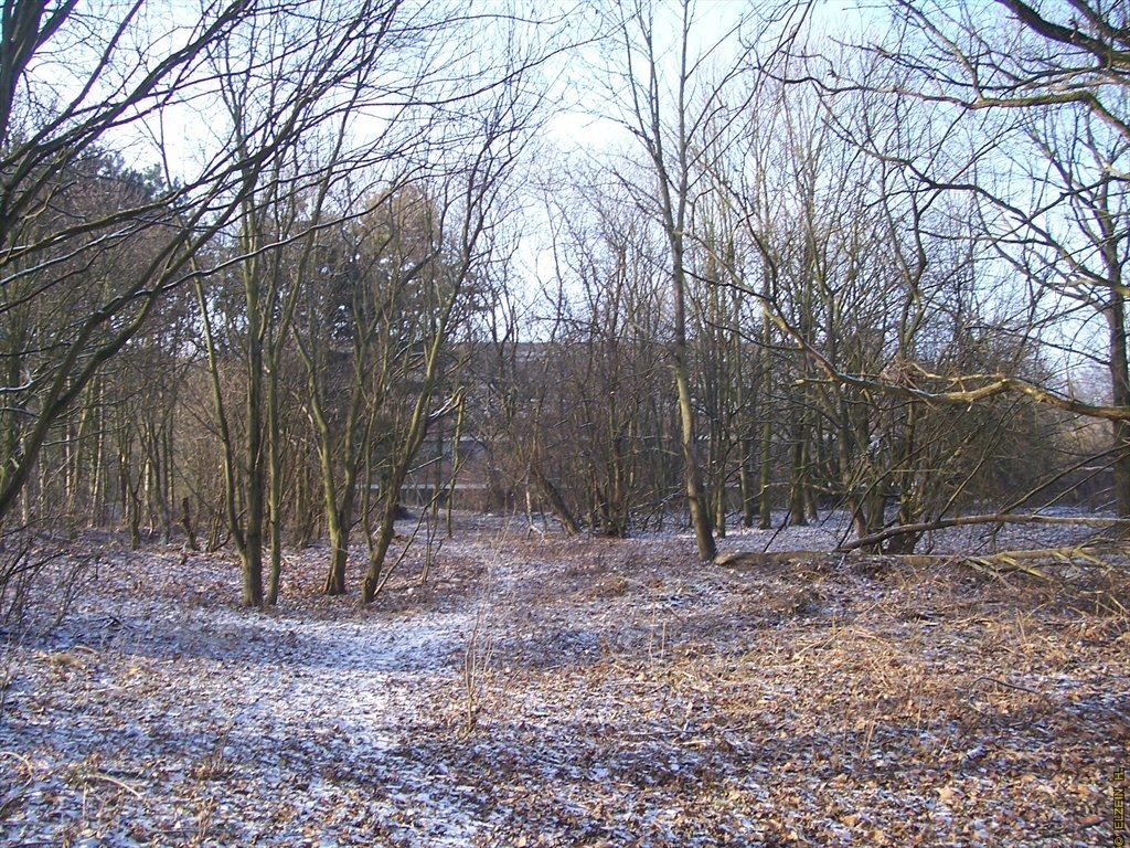 Photo de la Plaine #72