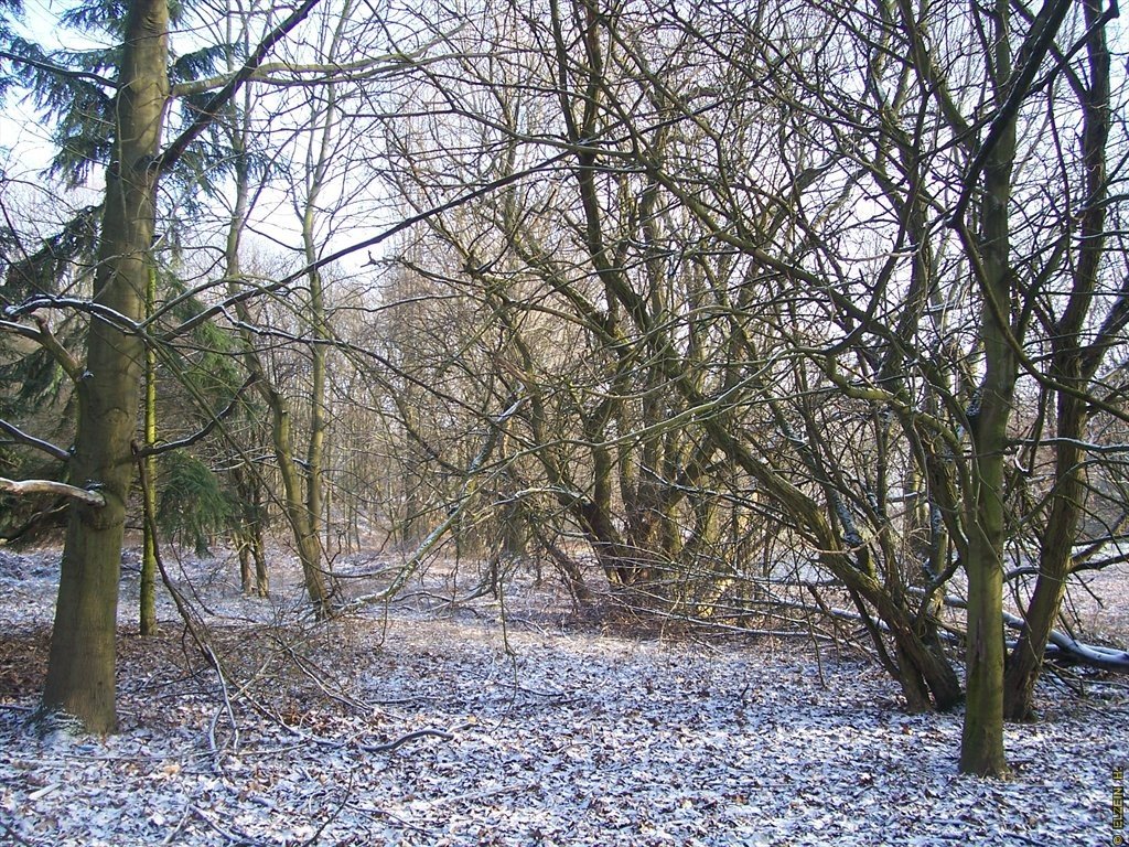 Photo de la Plaine #73