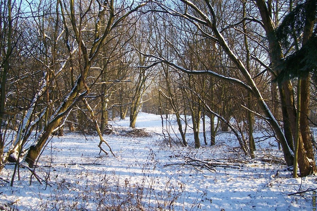 Photo de la Plaine #75