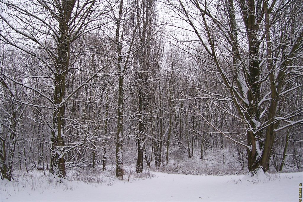 Photo de la Plaine #81