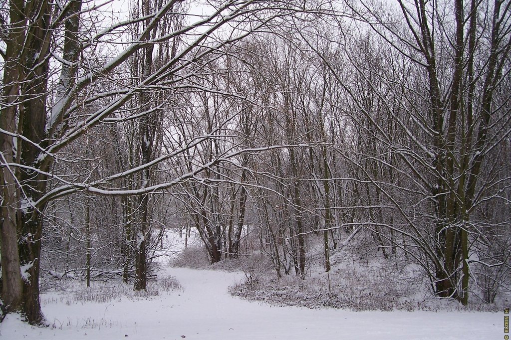 Photo de la Plaine #82