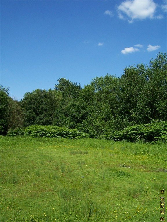 Photo de la Plaine #85