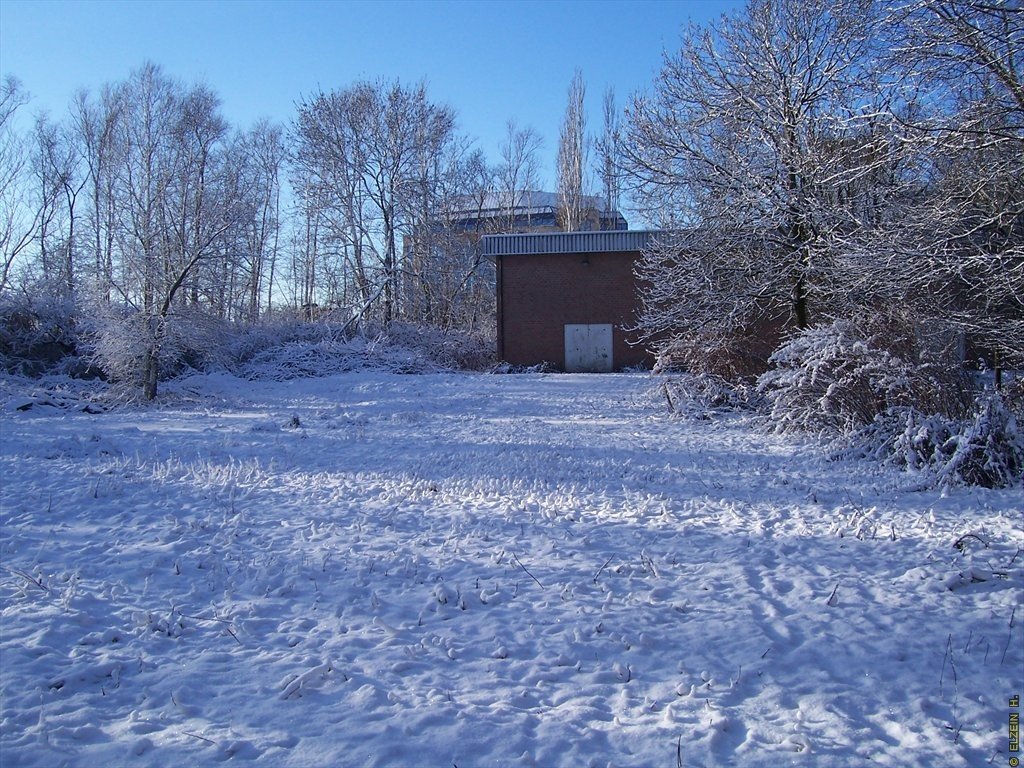 Photo de la Plaine #91