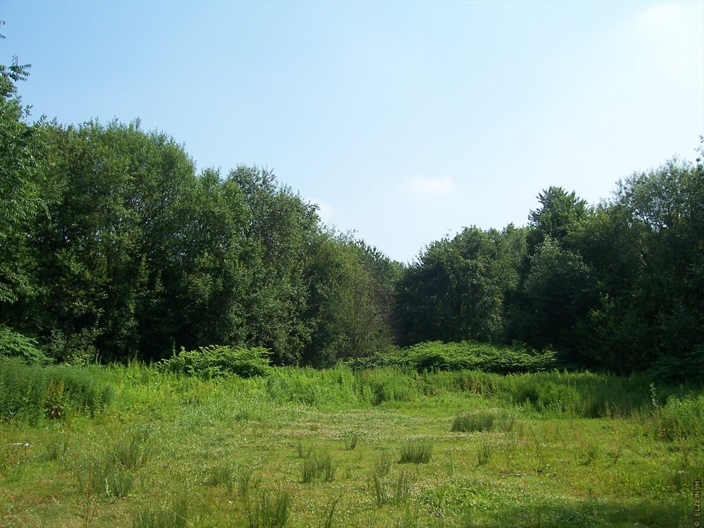 Photo de la Plaine #92