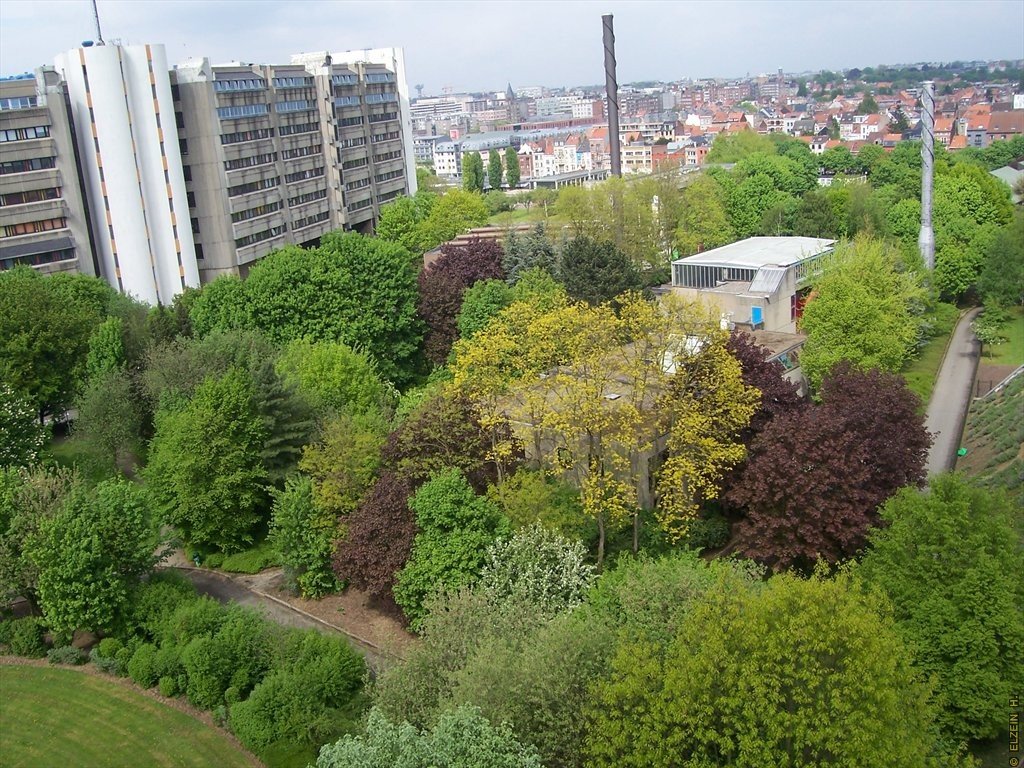 Photo de la Plaine #95