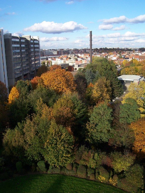 Photo de la Plaine #96