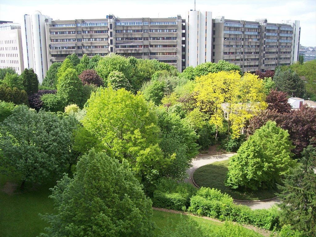 Photo de la Plaine #100