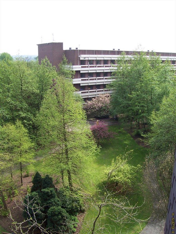 Photo de la Plaine #101