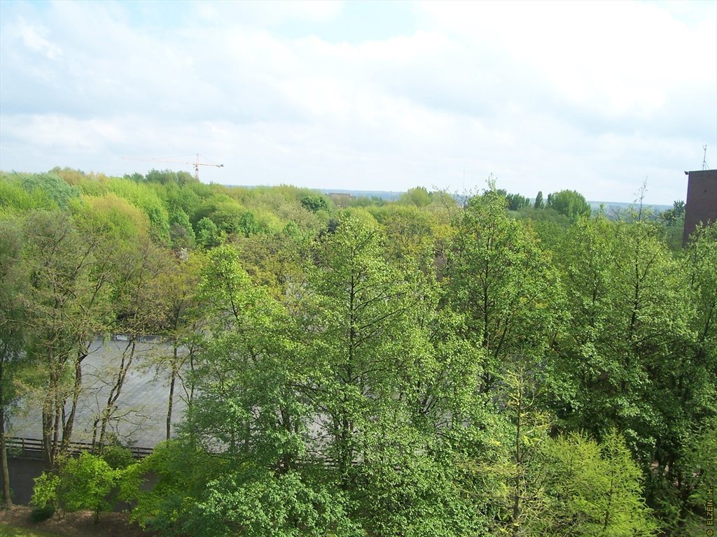 Photo de la Plaine #104