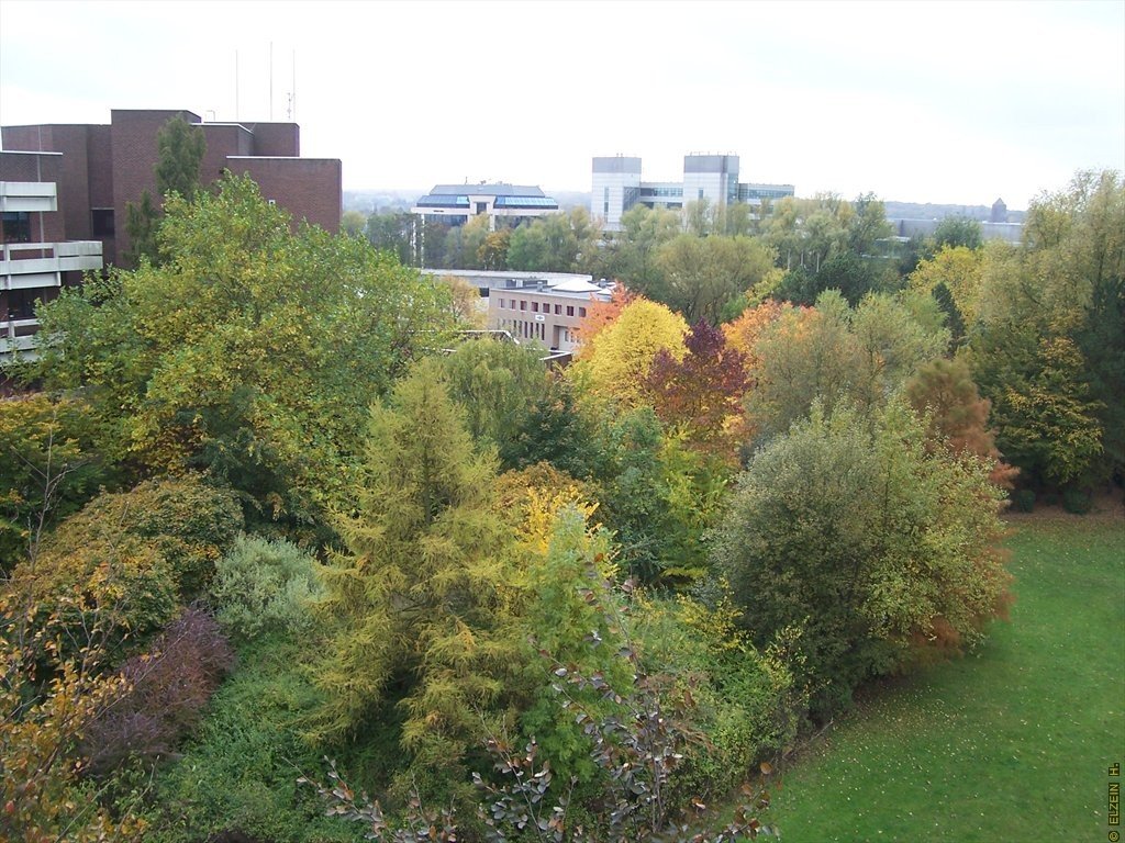 Photo de la Plaine #105