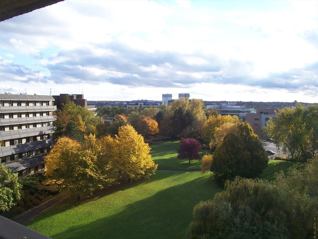 Photo de la Plaine #106