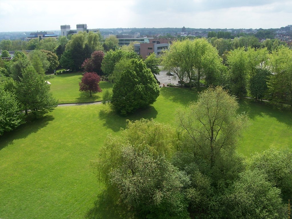 Photo de la Plaine #108