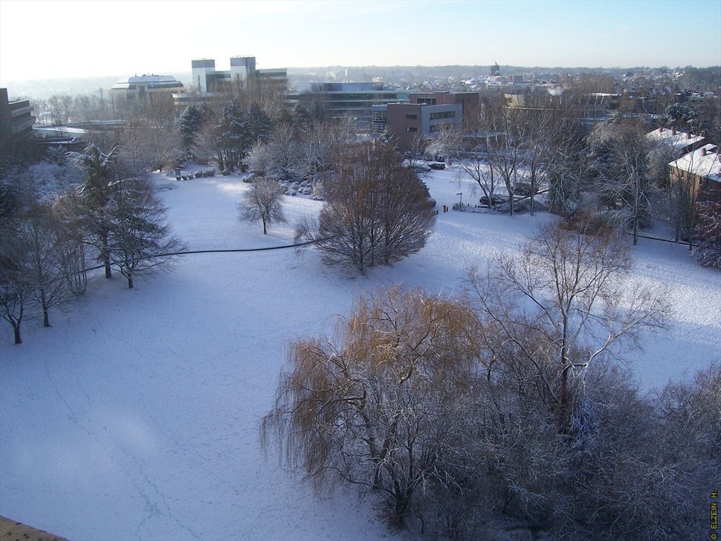 Photo de la Plaine #109