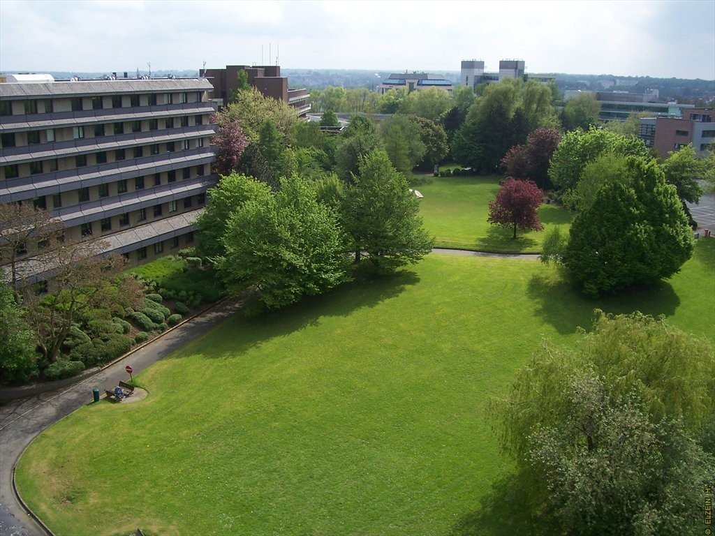 Photo de la Plaine #110