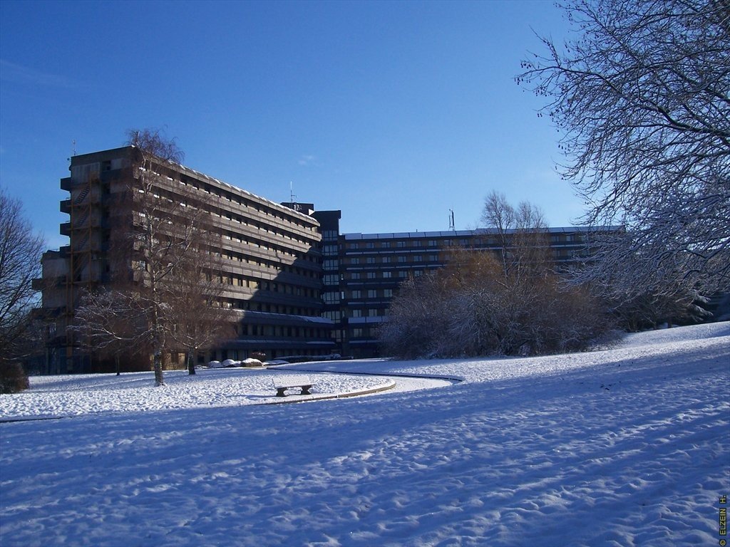 Photo de la Plaine #111