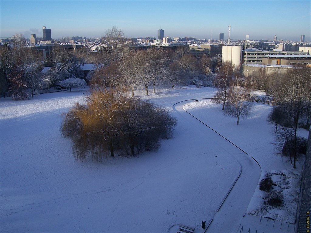 Photo de la Plaine #113