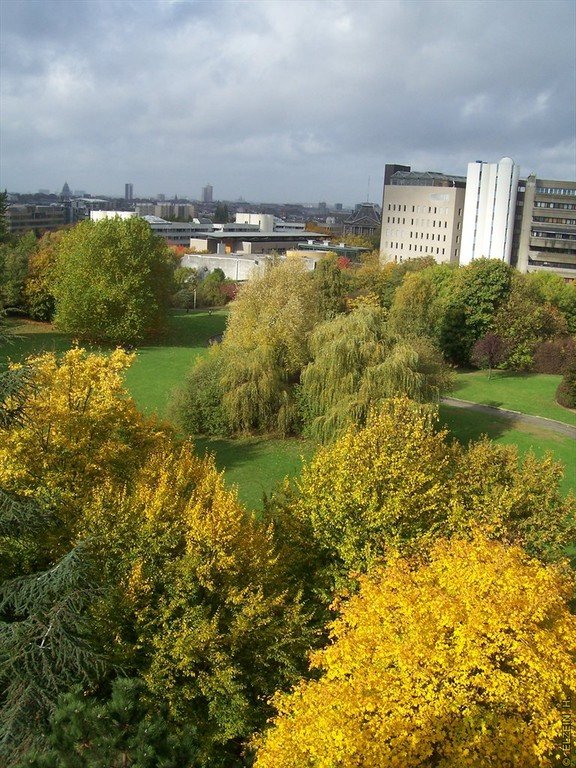 Photo de la Plaine #114