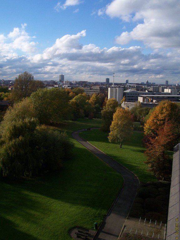 Photo de la Plaine #115